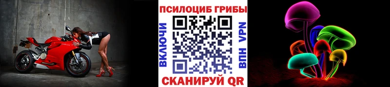 Галлюциногенные грибы Psilocybe  Томск 